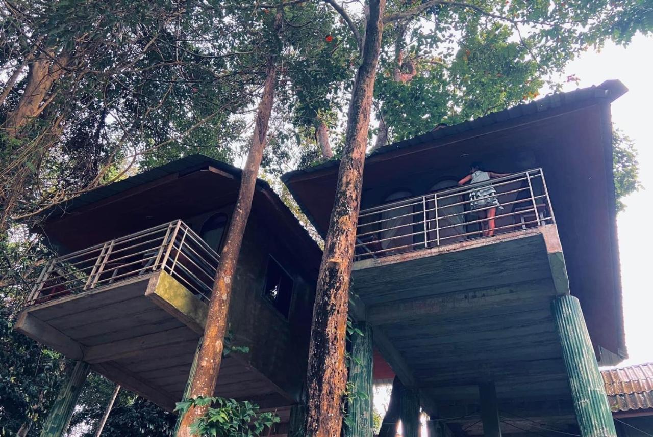 Khao Sok Jungle Huts Resort Khao Sok National Park Extérieur photo